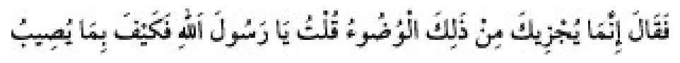 Texto árabe del hadiz de Sunan Abū Dāwūd