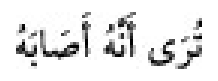 Texto árabe del hadiz de Sunan Abū Dāwūd