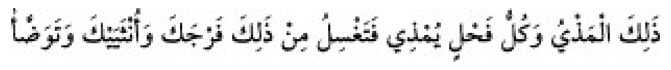Texto árabe del hadiz de Sunan Abū Dāwūd