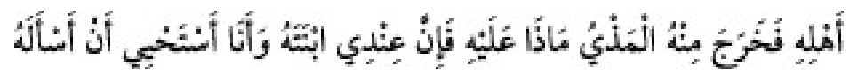 Texto árabe del hadiz de Sunan Abū Dāwūd