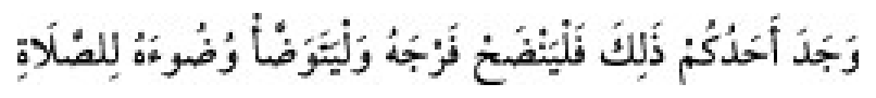 Texto árabe del hadiz de Sunan Abū Dāwūd