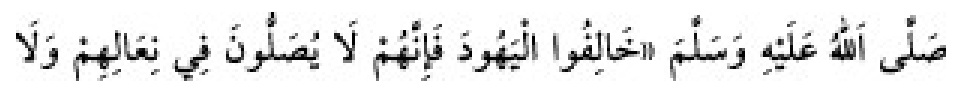 Texto árabe del hadiz de Sunan Abū Dāwūd