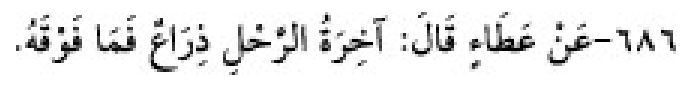 Texto árabe del hadiz de Sunan Abū Dāwūd