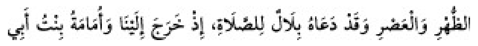 Texto árabe del hadiz de Sunan Abu Dawud