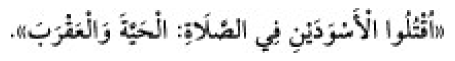 Texto árabe del hadiz de Sunan Abu Dawud