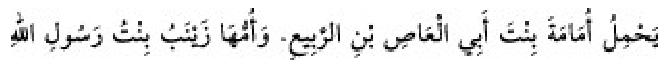 Texto árabe del hadiz de Sunan Abu Dawud