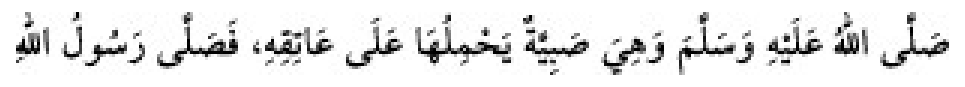Texto árabe del hadiz de Sunan Abu Dawud
