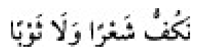 Texto árabe del hadiz de Sunan Abū Dāwūd