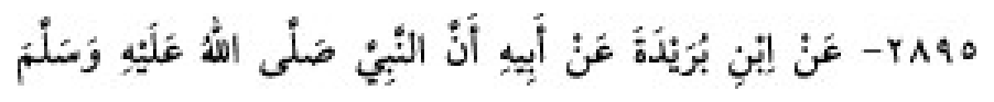 Texto árabe del hadiz de Sunan Abū Dāwūd