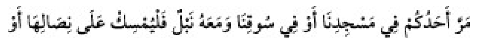 Texto árabe del hadiz de Sunan Abū Dāwūd