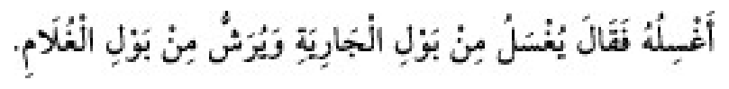 Texto árabe del hadiz de Sunan Abū Dāwūd