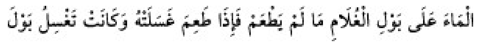 Texto árabe del hadiz de Sunan Abū Dāwūd