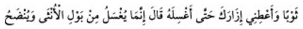 Texto árabe del hadiz de Sunan Abū Dāwūd