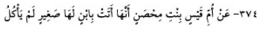 Texto árabe del hadiz de Sunan Abū Dāwūd