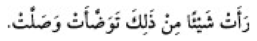 Texto árabe del hadiz de Sunan Abu Dawud