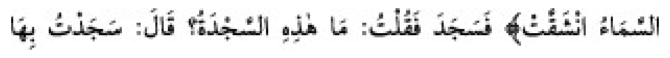 Texto árabe del hadiz de Sunan Abu Dawud