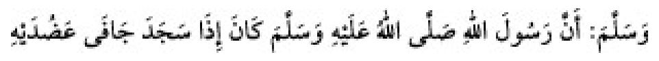 Texto árabe del hadiz de Sunan Abū Dāwūd