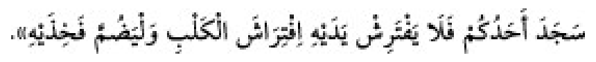 Texto árabe del hadiz de Sunan Abū Dāwūd