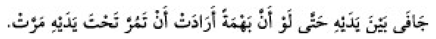 Texto árabe del hadiz de Sunan Abū Dāwūd