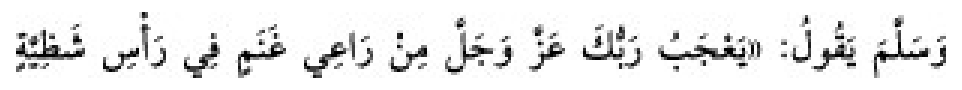 Texto árabe del hadiz de Sunan Abu Dawud