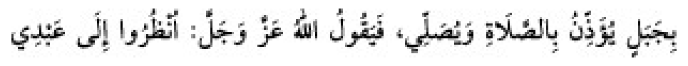 Texto árabe del hadiz de Sunan Abu Dawud