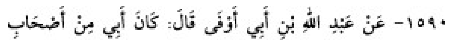 Sünen-i Ebû Dâvûd Arapça hadis metni
