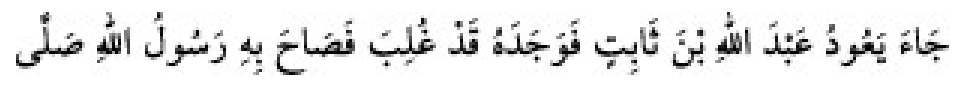 Texto árabe del hadiz de Sunan Abū Dāwūd