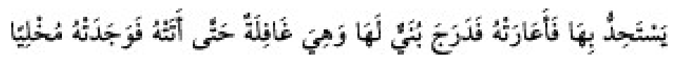 Texto árabe del hadiz de Sunan Abū Dāwūd