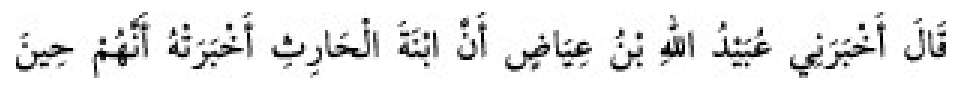 Texto árabe del hadiz de Sunan Abū Dāwūd