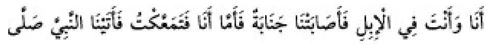 Sünen-i Ebû Dâvûd Arapça hadis metni