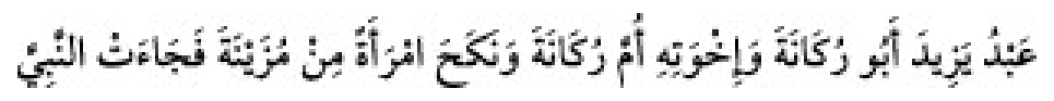 Sünen-i Ebû Dâvûd Arapça hadis metni