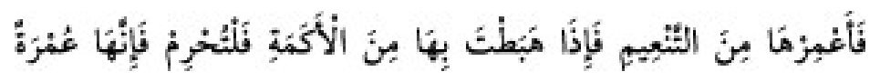 Texto árabe del hadiz de Sunan Abū Dāwūd