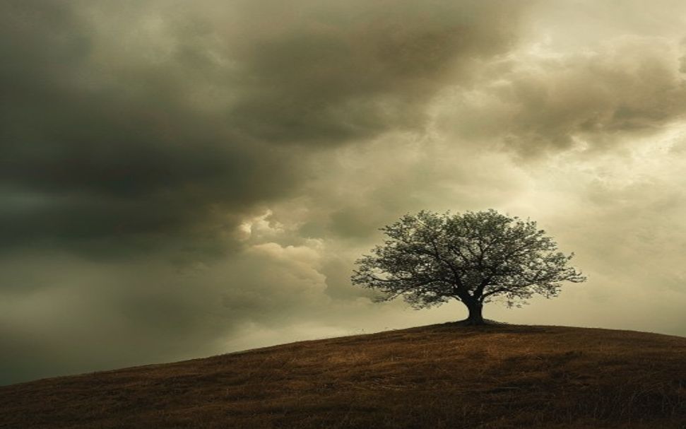 La oración del witr: Sunna, una necesidad amada por Allah