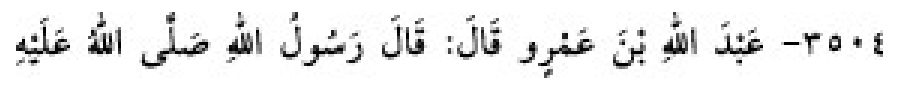 Texto árabe del hadiz de Sunan Abû Dâwûd