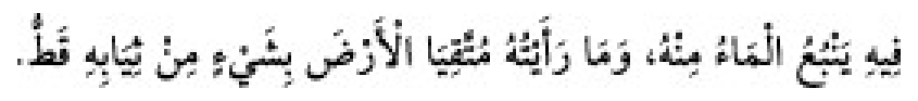 Texto árabe del hadiz de Sunan Abū Dāwūd