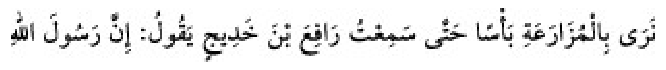 Texto árabe del hadiz de Sunan Abū Dāwūd