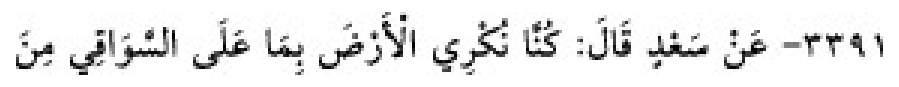 Texto árabe del hadiz de Sunan Abū Dāwūd