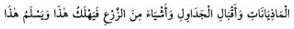 Texto árabe del hadiz de Sunan Abū Dāwūd